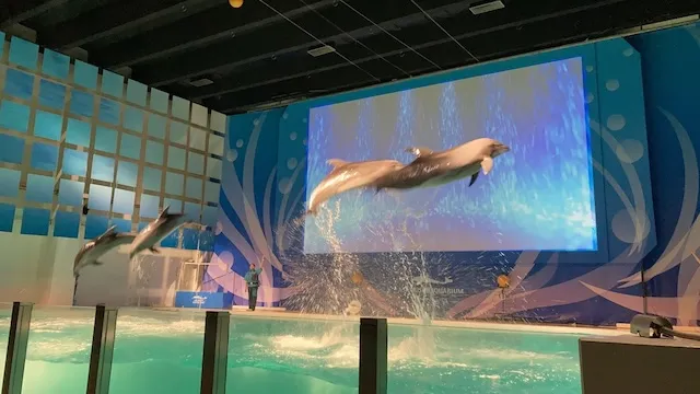 青森県の人気デートスポット！カップルにおすすめの定番&穴場