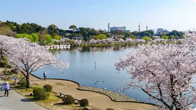 水戸市の人気デートスポット11選！カップルにおすすめの定番&穴場