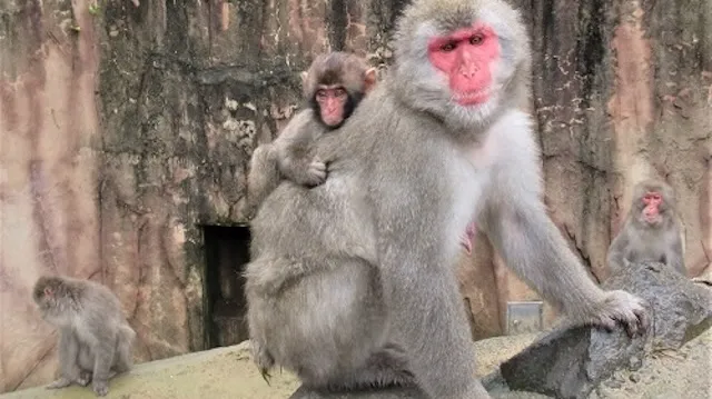 仙台市の人気デートスポット22選！カップルにおすすめの定番&穴場