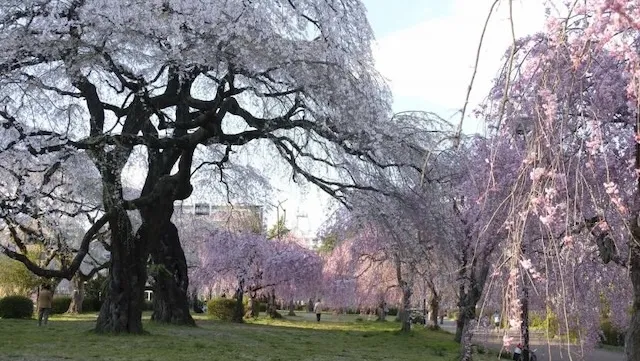 仙台市の人気デートスポット22選！カップルにおすすめの定番&穴場