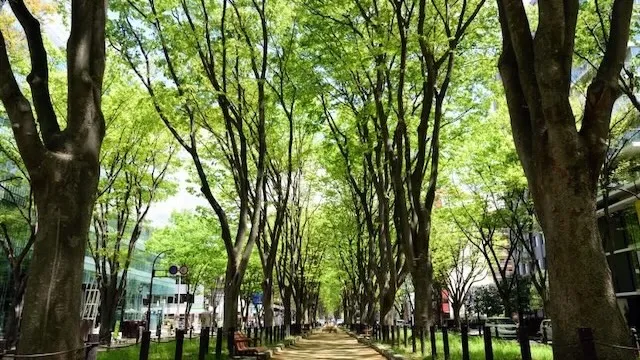 仙台市の人気デートスポット22選！カップルにおすすめの定番&穴場