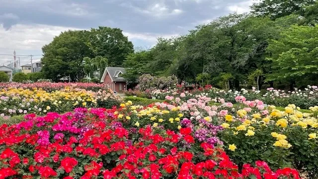 さいたま市の人気デートスポット27選!カップルにおすすめの定番&穴場