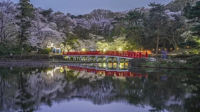 さいたま市の人気デートスポット27選!カップルにおすすめの定番&穴場