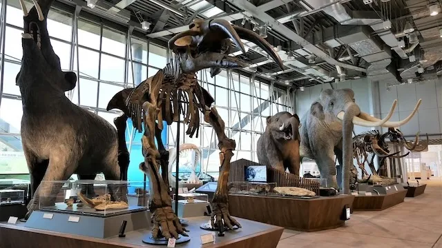 仙台市の人気デートスポット22選！カップルにおすすめの定番&穴場