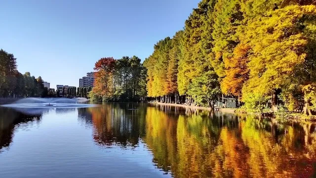 さいたま市の人気デートスポット27選!カップルにおすすめの定番&穴場