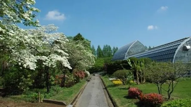 さいたま市の人気デートスポット27選!カップルにおすすめの定番&穴場