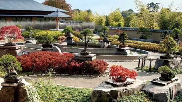 さいたま市の人気デートスポット27選!カップルにおすすめの定番&穴場