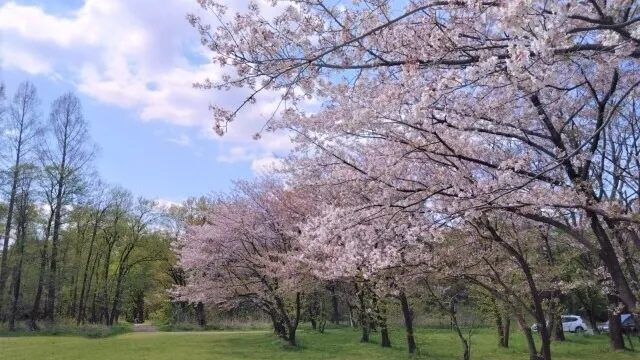 さいたま市の人気デートスポット27選!カップルにおすすめの定番&穴場