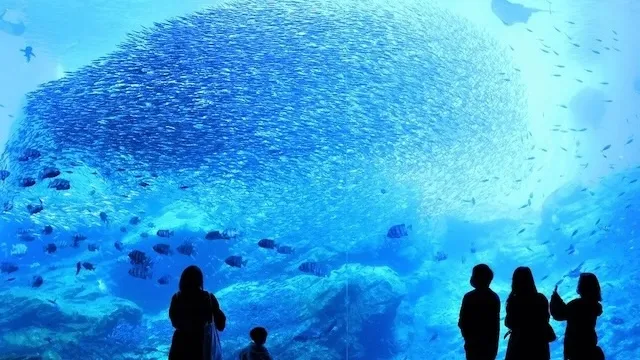 仙台市の人気デートスポット22選！カップルにおすすめの定番&穴場