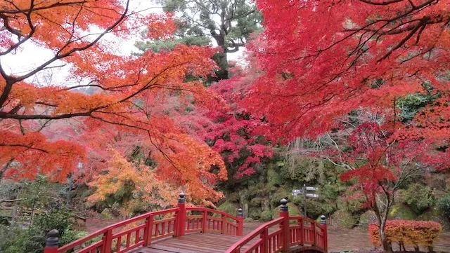 熱海市の人気デートスポット21選!カップルにおすすめの定番&穴場