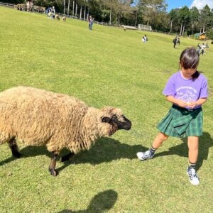 細かい男性婚活結婚相談所