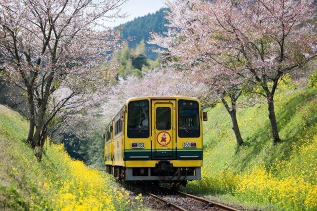 千葉県の交通状況は快適？千葉県の地域格差があるインフラ事情