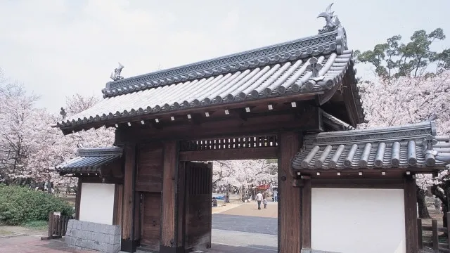 大津市の人気デートスポット31選！カップルにおすすめの定番&穴場