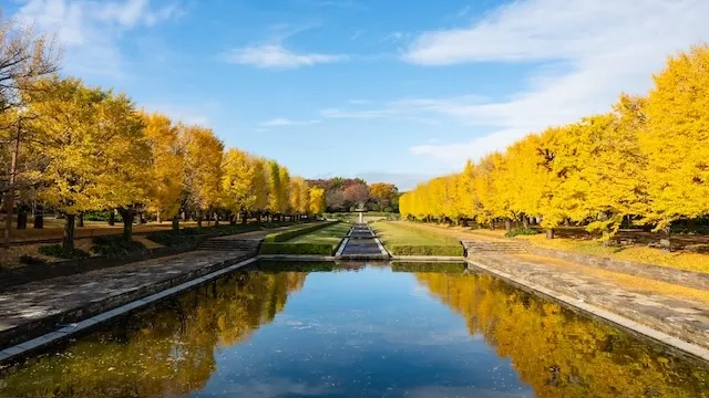 東京の人気デートスポット95選!カップルにおすすめの定番&穴場