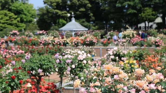 前橋市の人気デートスポット16選!カップルにおすすめの定番&穴場