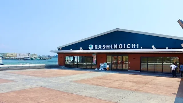 静岡市の人気デートスポット34選！カップルにおすすめの定番&穴場