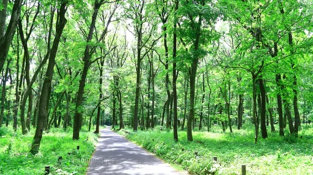 相模原市の人気デートスポット27選！カップルにおすすめの定番&穴場