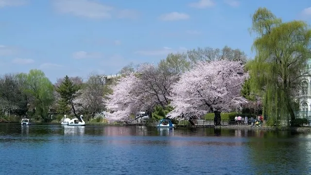 東京の人気デートスポット95選!カップルにおすすめの定番&穴場