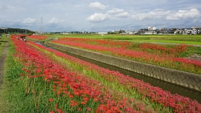 豊田市の人気デートスポット26選！カップルにおすすめの定番&穴場