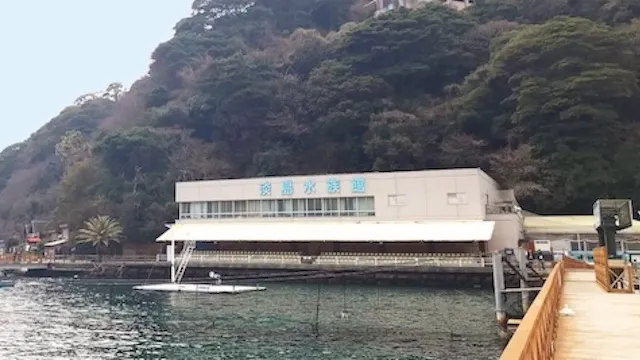 沼津市の人気デートスポット26選！カップルにおすすめの定番&穴場