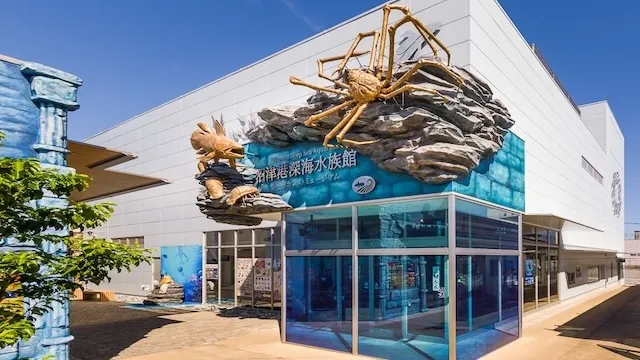 沼津市の人気デートスポット26選！カップルにおすすめの定番&穴場