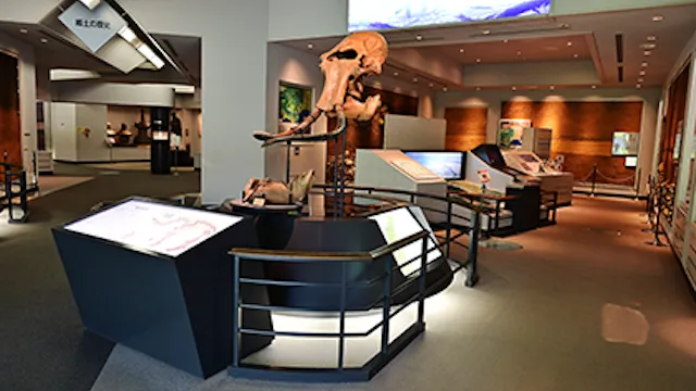 相模原市の人気デートスポット27選！カップルにおすすめの定番&穴場