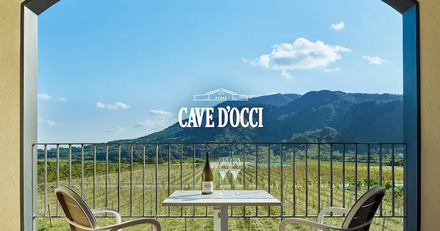 新潟市の人気デートスポット30選!カップルにおすすめの定番&穴場