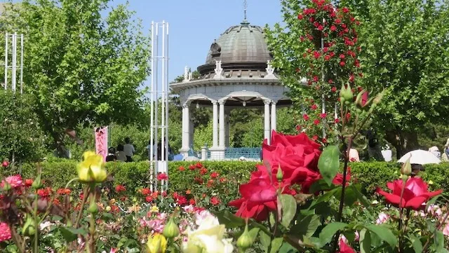 名古屋市の人気デートスポット50選！カップルにおすすめの定番&穴場