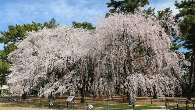 前橋市の人気デートスポット16選!カップルにおすすめの定番&穴場