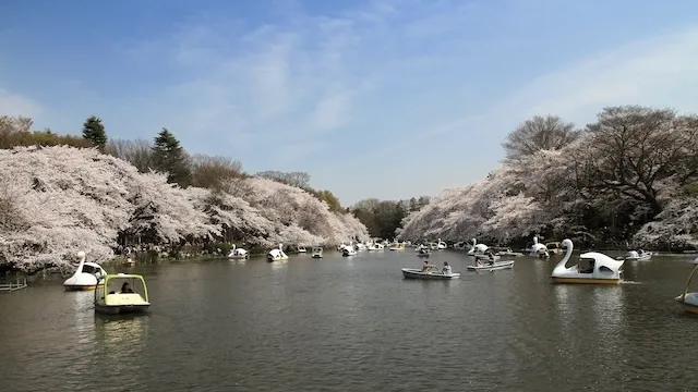 東京の人気デートスポット95選!カップルにおすすめの定番&穴場