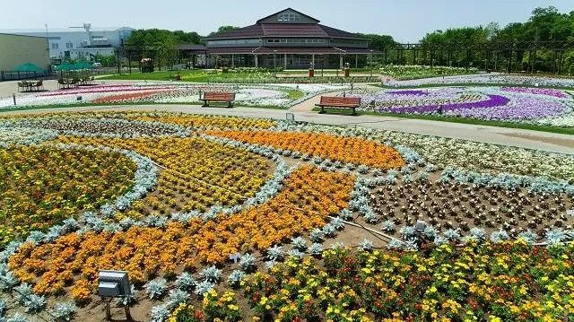 新潟市の人気デートスポット30選!カップルにおすすめの定番&穴場