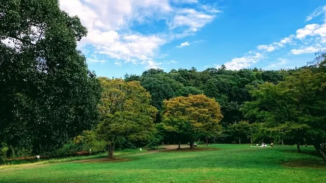 千葉市の人気デートスポット32選！カップルにおすすめの定番&穴場