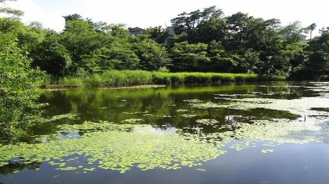 新潟市の人気デートスポット30選!カップルにおすすめの定番&穴場