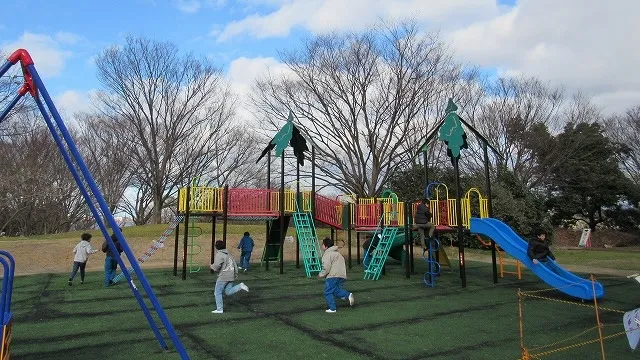 新潟市の人気デートスポット30選!カップルにおすすめの定番&穴場