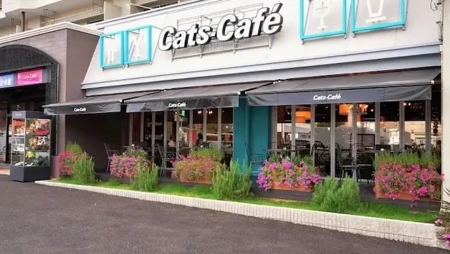 名古屋市港区のおすすめカフェデート17選!初デートから2回目以降も安心の目的別ガイド