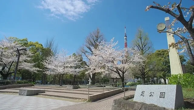 東京の人気デートスポット95選!カップルにおすすめの定番&穴場