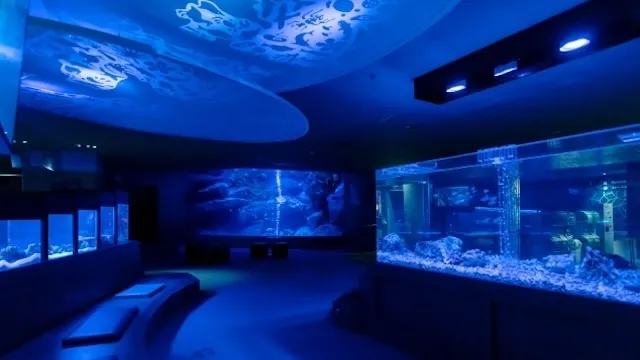 東京の人気デートスポット95選!カップルにおすすめの定番&穴場