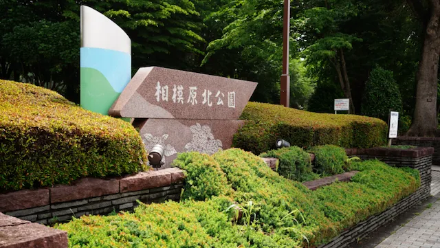 相模原市の人気デートスポット27選！カップルにおすすめの定番&穴場