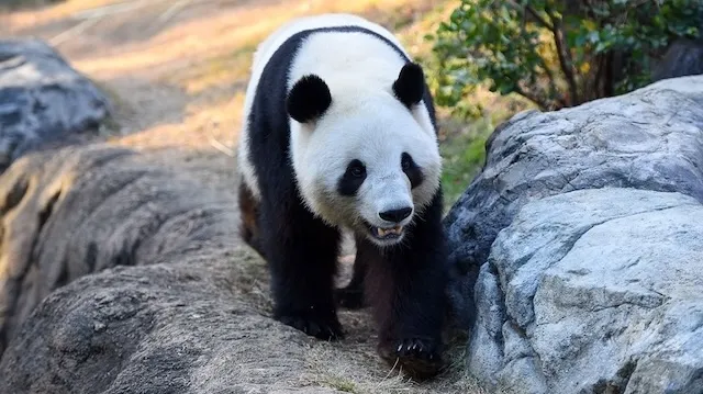 東京の人気デートスポット95選!カップルにおすすめの定番&穴場