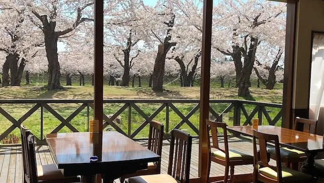 函館のおすすめカフェデート29選!初デートから2回目以降も安心の目的別ガイド