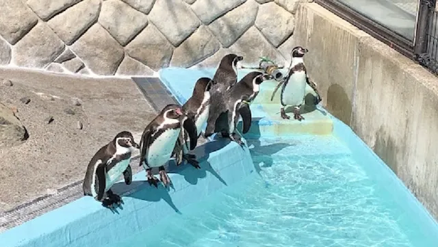 長野市の人気デートスポット31選！カップルにおすすめの定番&穴場