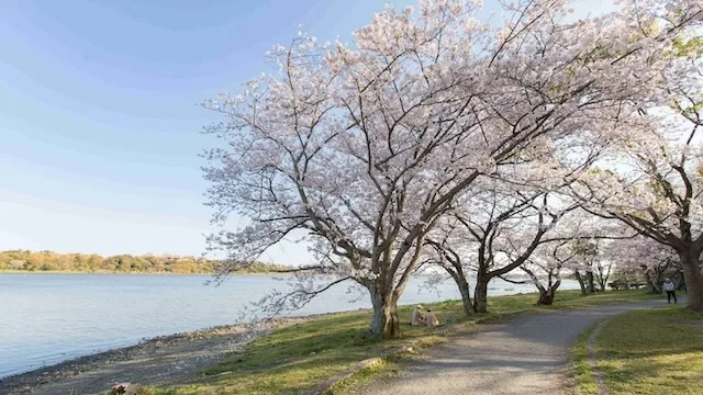 浜松市の人気デートスポット39選！カップルにおすすめの定番&穴場