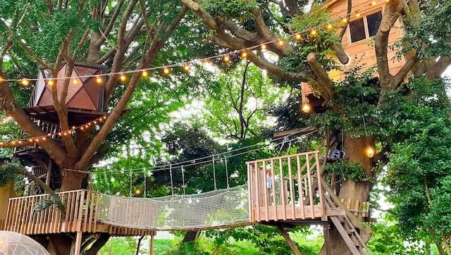 千葉市の人気デートスポット32選！カップルにおすすめの定番&穴場