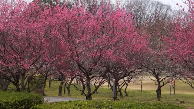 豊田市の人気デートスポット26選！カップルにおすすめの定番&穴場
