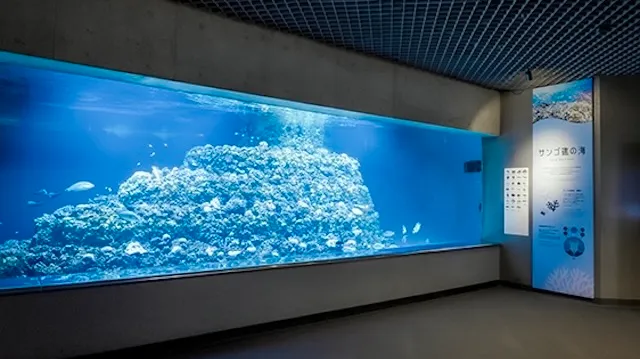 東京の人気デートスポット95選!カップルにおすすめの定番&穴場