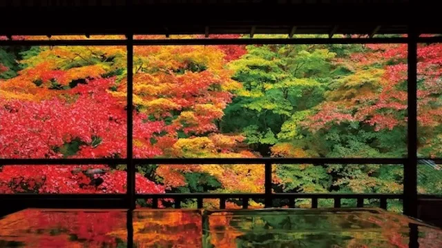 京都市の人気デートスポット53選！カップルにおすすめの定番&穴場