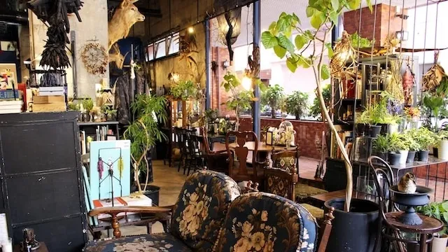 さいたま市のおすすめカフェデート！初デートから2回目以降も安心の目的別ガイド