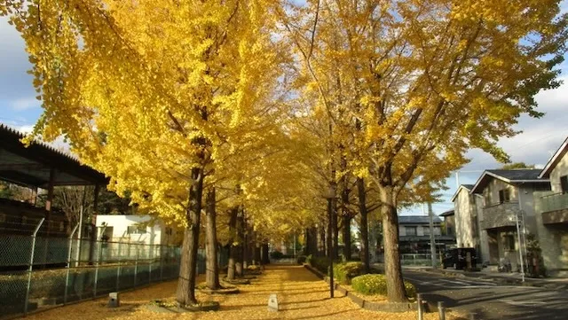 宇都宮市の人気デートスポット22選!カップルにおすすめの定番&穴場