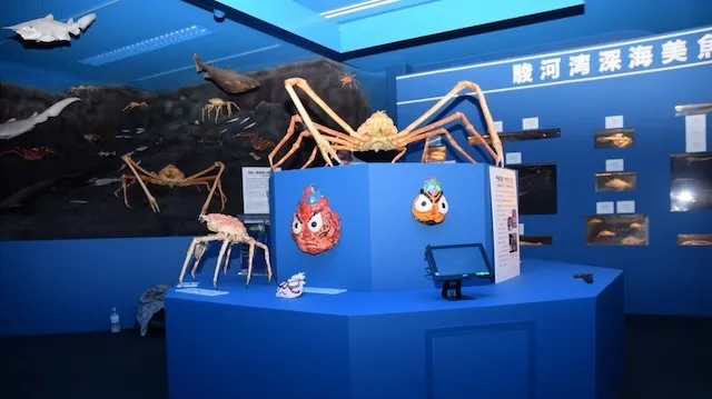 沼津市の人気デートスポット26選！カップルにおすすめの定番&穴場