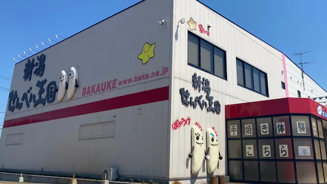 新潟市の人気デートスポット30選!カップルにおすすめの定番&穴場